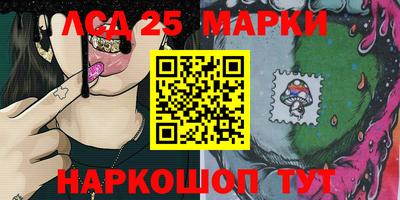 spice Новодвинск