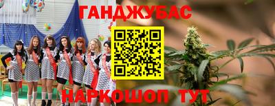 spice Новодвинск