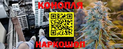 spice Новодвинск