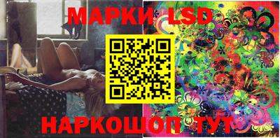spice Новодвинск